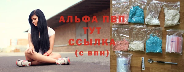 a pvp Новозыбков