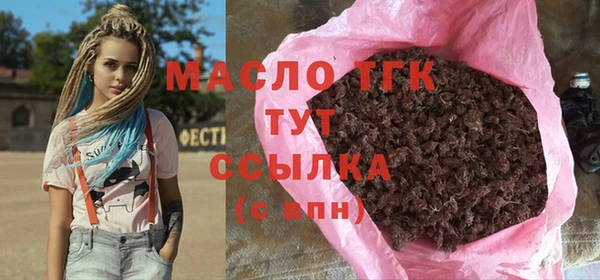 индика Нязепетровск