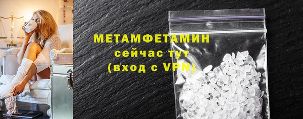 гидра Болотное