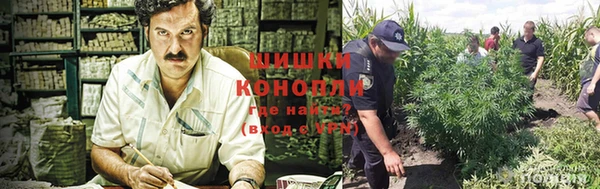 индика Нязепетровск