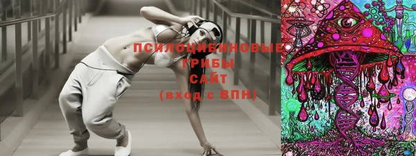 индика Нязепетровск